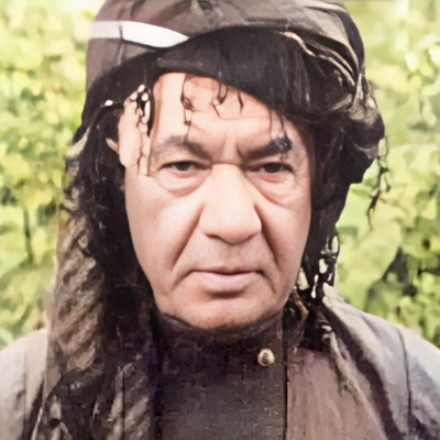 عەلی مەردان